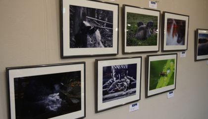 fotoclublienzvernissage-c-ohhk-g8