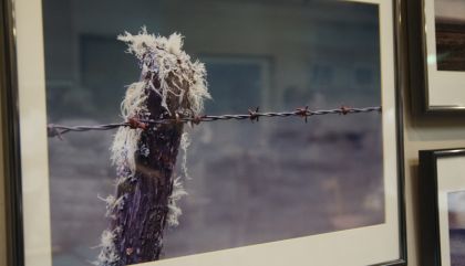 fotoclublienzvernissage-c-ohhk-g16