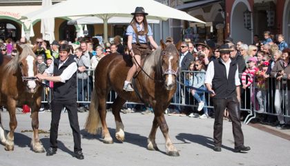 pferdeumzug2017-galerie28-c-brunner