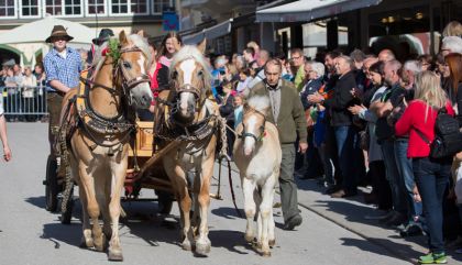 pferdeumzug2017-galerie15-c-brunner