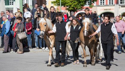 pferdeumzug2017-galerie13-c-brunner