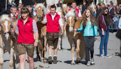 pferdeumzug2017-galerie12-c-brunner