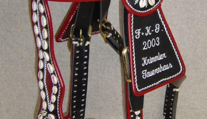 sattler-Halfter-Krimmler-Tauernhaus_c_Neumayr