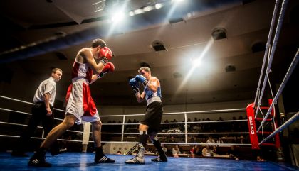dolomitenboxturnier17