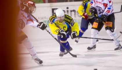 eislienzvsalthofengal339