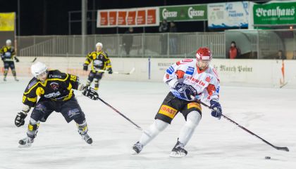 eislienzvscarinthian25jangal60