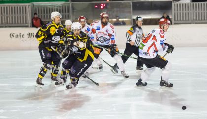 eislienzvscarinthian25jangal83