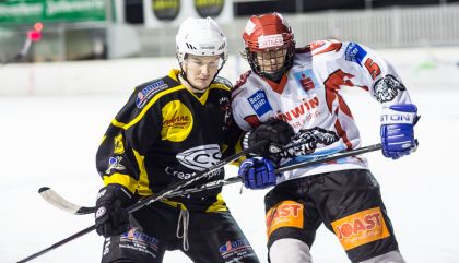 eislienzvscarinthian25jangal937