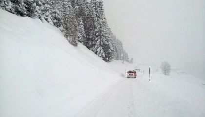 schneekartitsch31jangal2