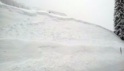 schneekartitsch31jangal1