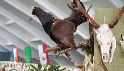 Osttiroler Jägertag