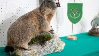 Osttiroler Jägertag