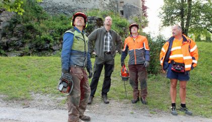 400 Jahre alte Linde vom Schlosspark ist Geschichte