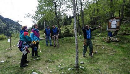 Bogensport: 11 Tiroler Meister aus Osttirol