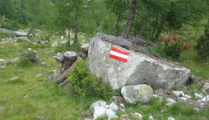 dorferseeweggal9_c_muehlburger