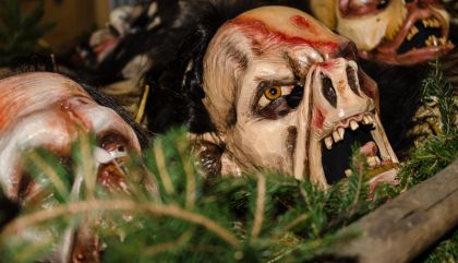 larvenanrasgal-bru132