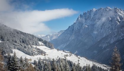 compedal2015_1214-bru