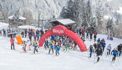 compedal2015_1235-bru