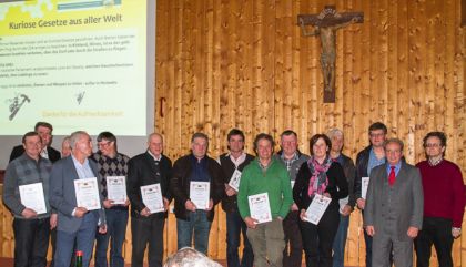 Große Sorge um Bienenvölker in Osttirol