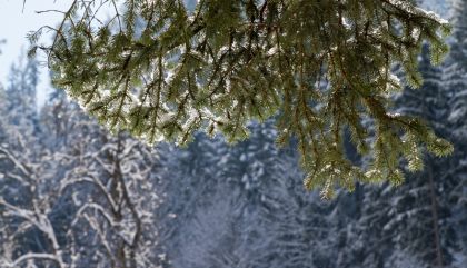 Winterimpressionen aus Osttirol