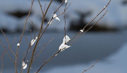 Winterimpressionen aus Osttirol
