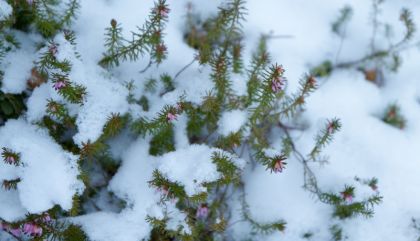 Winterimpressionen aus Osttirol
