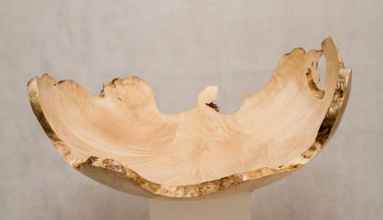 hoelzerneriesen-galtischlwolsegger2
