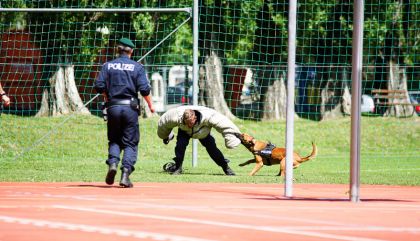 In der Dolomitenhalle wurde heute gemeinsam gekämpft, gerätselt und gelacht: Mit viel Action und Spaß ging das Tiroler Landesfinale der Kindersicherheitsolympiade über die Bühne.