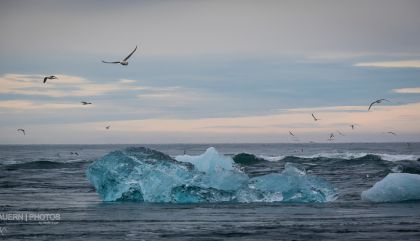 eggerdaniel-island_1-tauernphotos