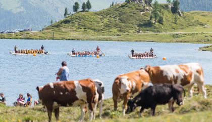 Am Obersee paddelten 13 Teams um die Wette