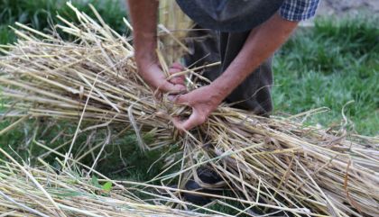 Welche Getreidesorten wurden früher in und um Anras angebaut? Wie wurde das Getreide von unseren Vorfahren geerntet, getrocknet, gedroschen, gesäubert und verarbeitet?