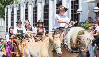 schuetzenfestmatrei2015-brugal984