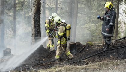 Am Montag, 7. Dezember, geriet gegen 15.00 Uhr ein Baumstamm-Stapel in der Fraktion Tessenberg/Gemeinde Heinfels auf rund 1.400 Meter Seehöhe in Brand.
