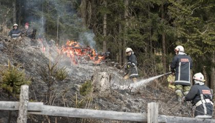 Am Montag, 7. Dezember, geriet gegen 15.00 Uhr ein Baumstamm-Stapel in der Fraktion Tessenberg/Gemeinde Heinfels auf rund 1.400 Meter Seehöhe in Brand.