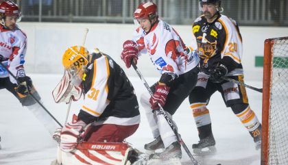 lienzvsvelden-brugal2521