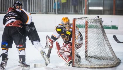 lienzvsvelden-brugal2539