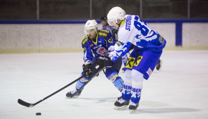 hubenvsalthofen-brugal16-23jan