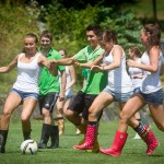 cf0a0630_c_brunner_images