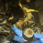 krampusanras-ta--41