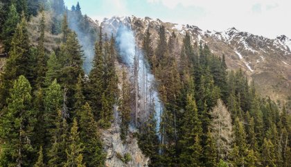 Waldbrand-StVeit__6783_C_Brunner_Images_a