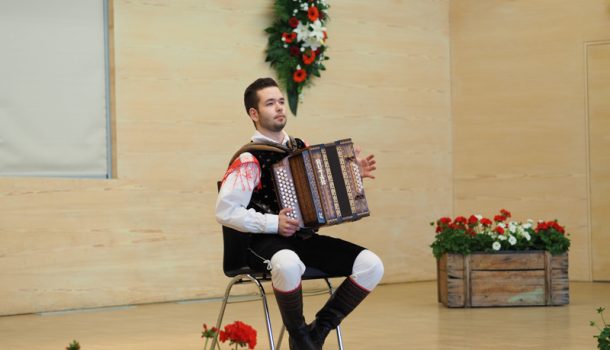 harmonikawm-Harmonika-WM-(1365)-gemausservillgraten harmonikawm-Harmonika-WM-(1365)-gemausservillgraten