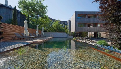 hotelhintereggerneu-Schwimmteich-c-madritschpfurtscheller hotelhintereggerneu-Schwimmteich-c-madritschpfurtscheller