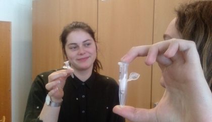 dna-Sieb-c-bgbrglienz dna-Sieb-c-bgbrglienz