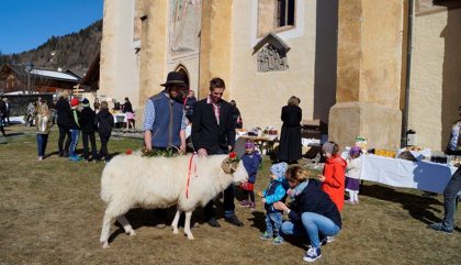 opferwidder-2018-c-gemeinde-virgen-start14 opferwidder-2018-c-gemeinde-virgen-start14