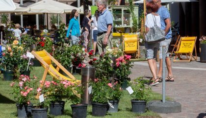 rosenausstellung-lienz-g023-brunner rosenausstellung-lienz-g023-brunner