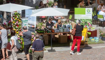 rosenausstellung-lienz-g058-brunner rosenausstellung-lienz-g058-brunner