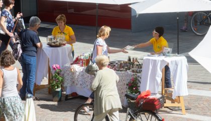 rosenausstellung-lienz-g061-brunner rosenausstellung-lienz-g061-brunner