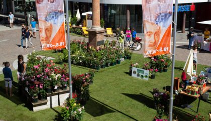 rosenausstellung-lienz-g128-brunner rosenausstellung-lienz-g128-brunner