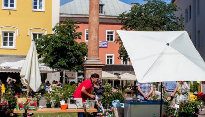rosenausstellung-lienz-g136-brunner rosenausstellung-lienz-g136-brunner