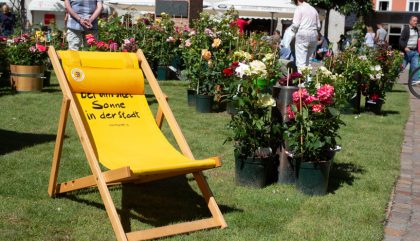 rosenausstellung-lienz-g146-brunner rosenausstellung-lienz-g146-brunner